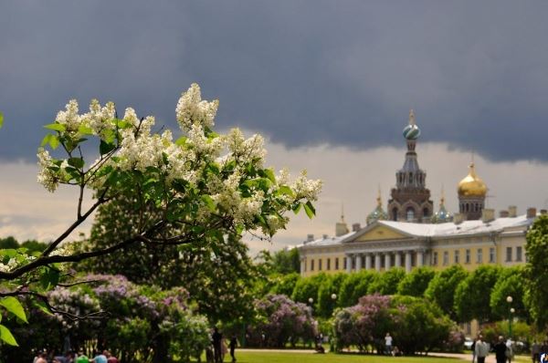 Петербург за майские праздники посетили 500 тыс. туристов