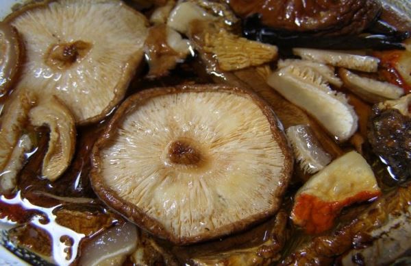 Ученые обнаружили неожиданные свойства грибов шиитаке